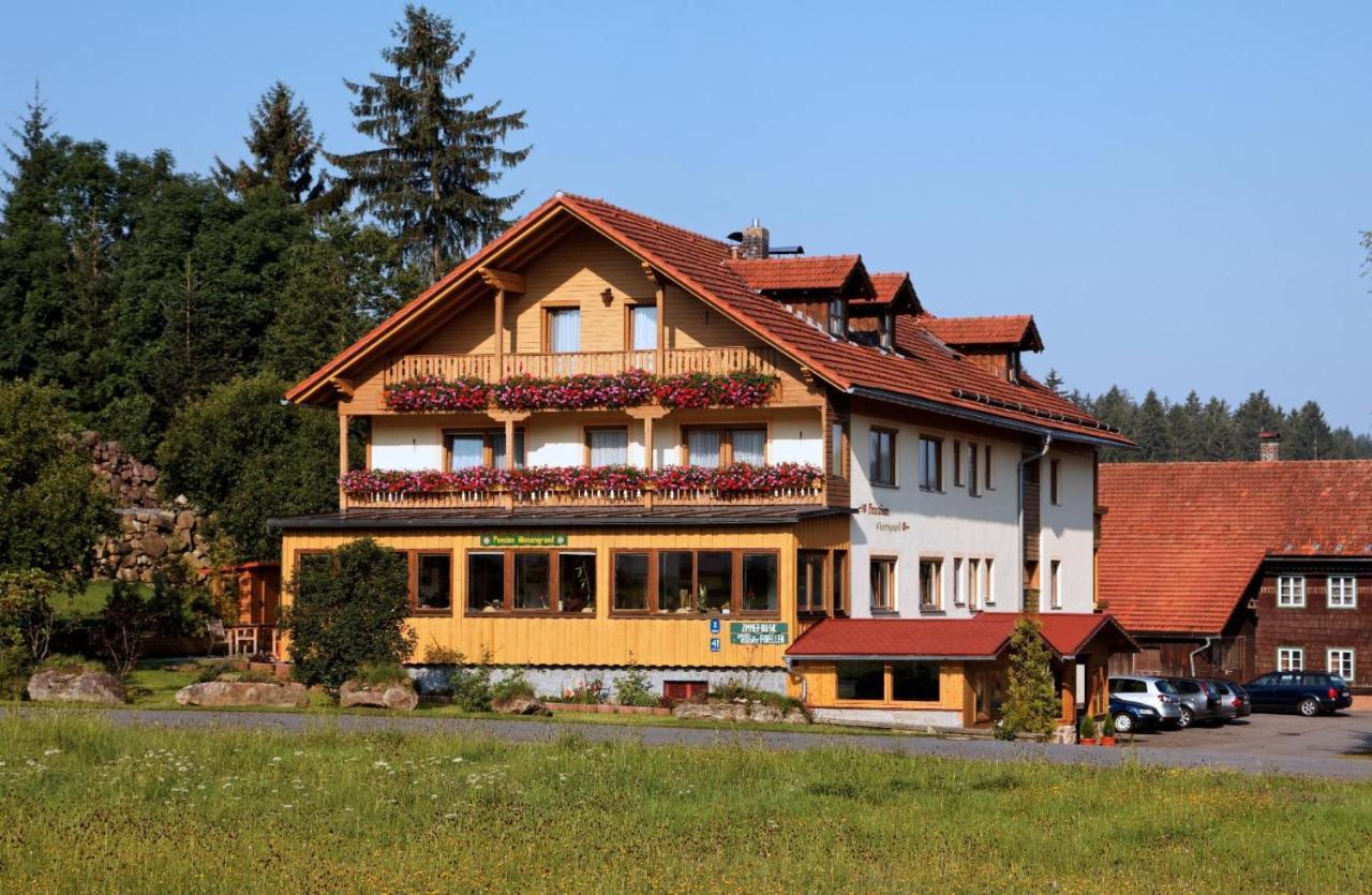 Pension Wiesengrund Neuschoenau Ngoại thất bức ảnh